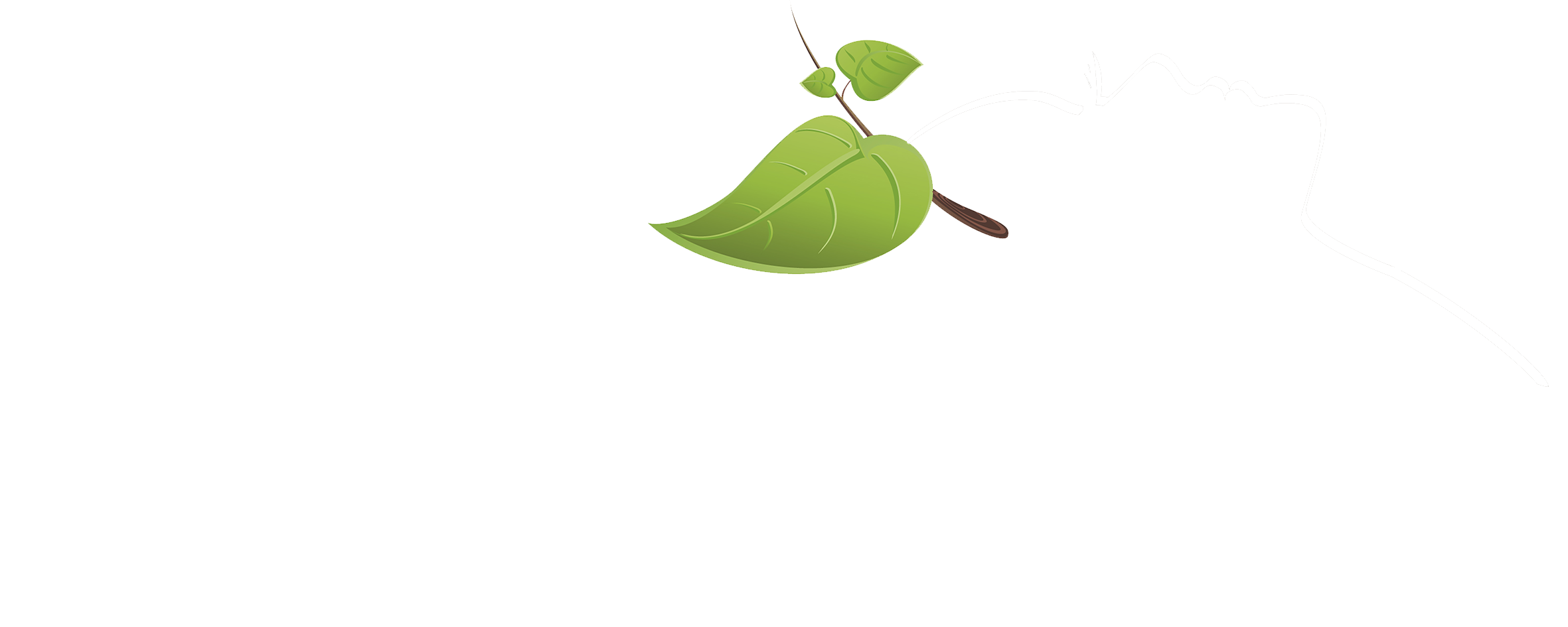 ArtKancia